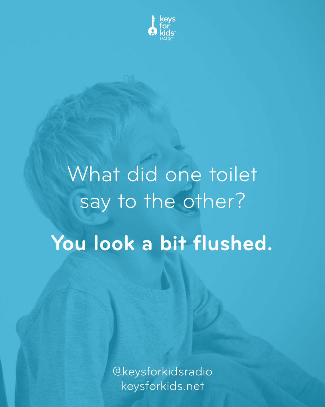 What did one toilet say to the other? You look a bit flushed.