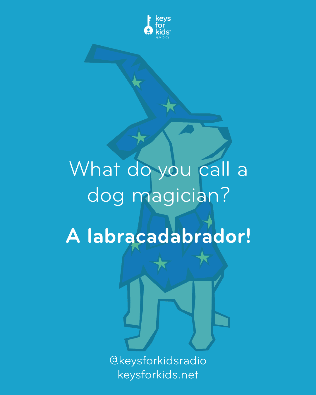 What do you call a dog magician? A labracadabrador.