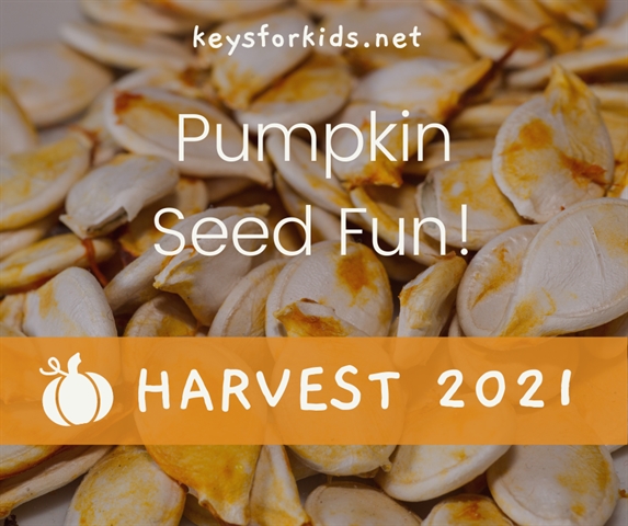 Pumpkin Seed Fun - Harvest Week!