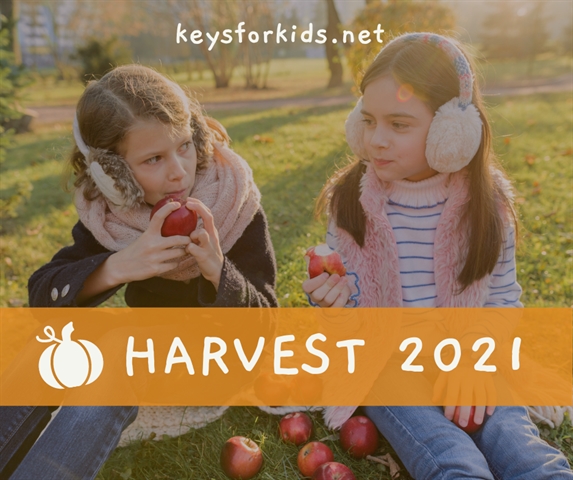 Happy for the Harvest - Harvest Week!