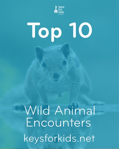 Top 10 Animal Encounters Caught on Camera!
