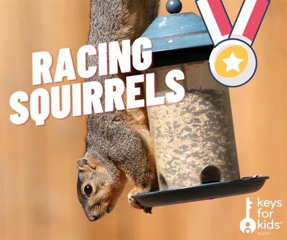 Squirrel Grand Prix