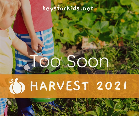 Too Soon - Harvest Week!