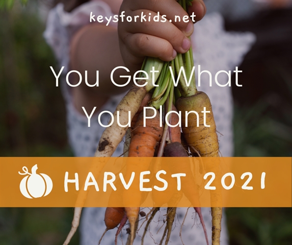You Get What You Plant - Harvest Week!