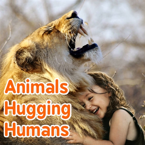 Animals Hugging Humans to Make You Smile