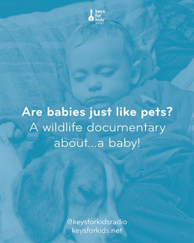 Are BABIES Just Like PETS?