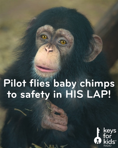 Pilot Flies Baby Chimps to Safety - in his LAP!