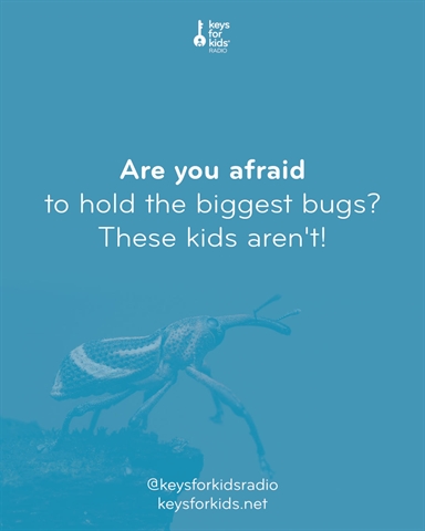 Kids Hold The Biggest Bugs!