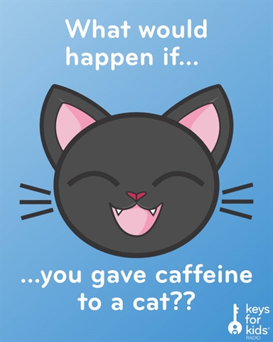 Curious Cat Consumes Copious Cups of Caffeine!