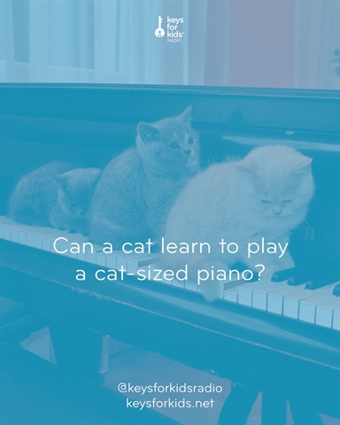 Building a Cat-Sized Piano!