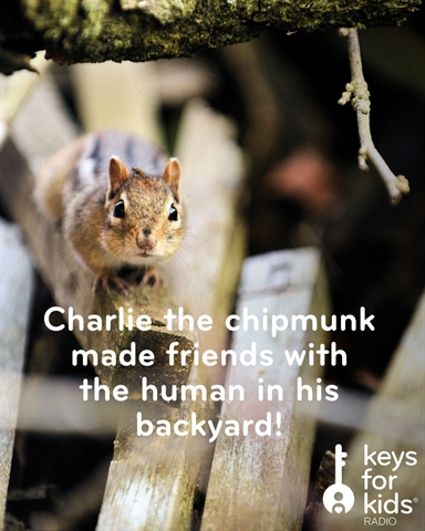 Charlie the Chipmunk Loves to Hang Out with His Human