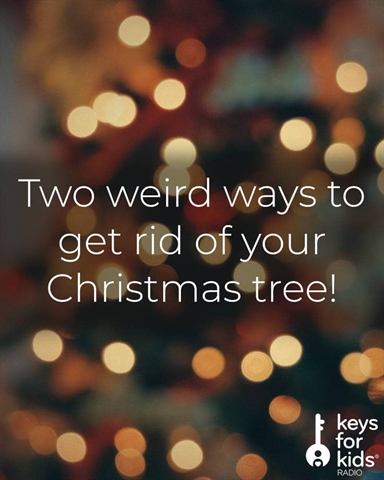Weird Ways to Get Rid of Christmas Trees