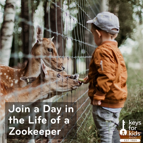 Be a Zookeeper: What's A Day Like?