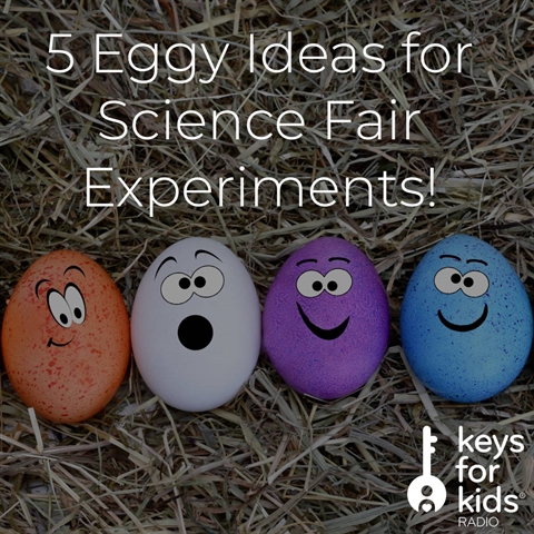 Ideas for Your Next Science Fair!