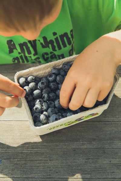 Blueberries are perfect to fill out your lunch