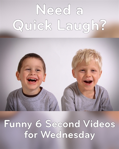 Funny 6 Second Videos