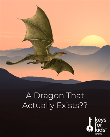 A Dragon That Really Exists!