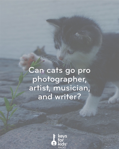 Can cats become professional artists?
