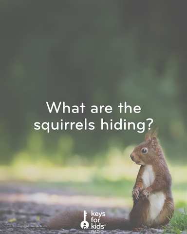 The Squirrels Are UP TO SOMETHING