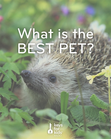 What's the Best Pets Poll?