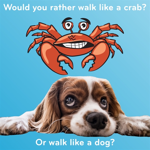 Would You Rather Walk Like a Dog or Like a Crab?