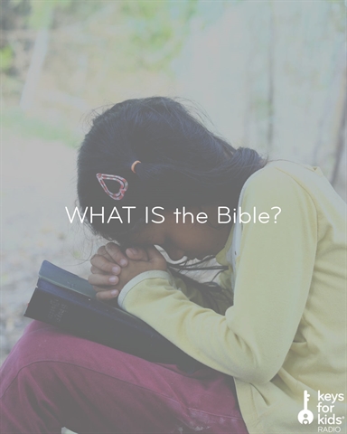 WHAT IS the Bible?