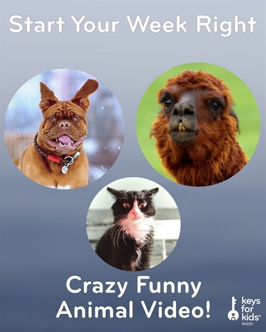 Crazy Funny Animals – Start Your Week Right!
