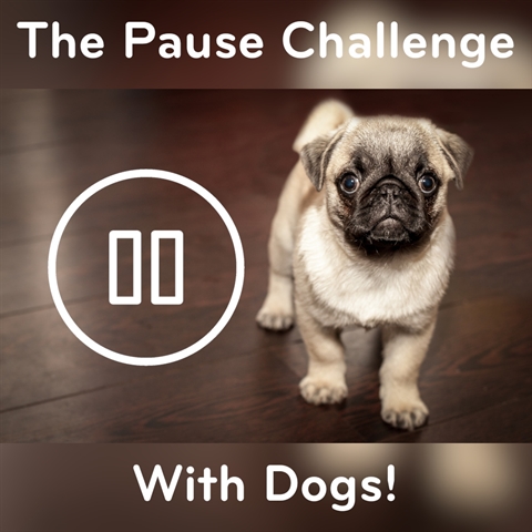 The PAUSE Challenge (DOGS)
