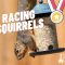 Squirrel Grand Prix