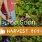 Too Soon – Harvest Week!