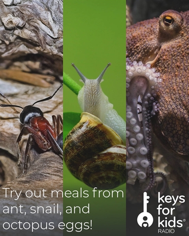 Try a Meal with an Ant Egg, Snail Egg, or an Octopus Egg!