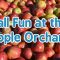 Fall Fun at the Apple Orchard