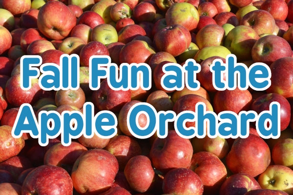 Fall Fun at the Apple Orchard