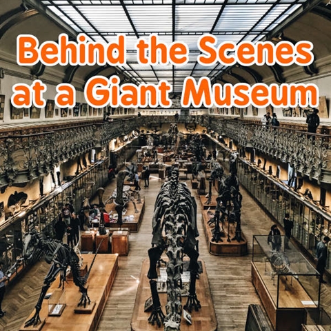 Behind the Scenes of the Biggest Museum in the United States!