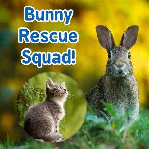 Animal Rescue…By an Animal!