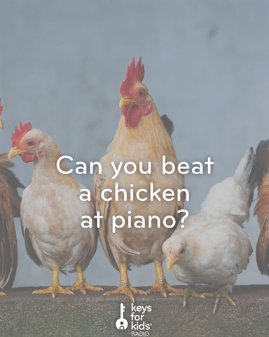 This CHICKEN Plays Piano Better Than You?