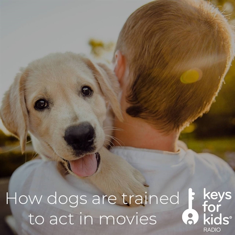 How Dogs Get Trained for Movies