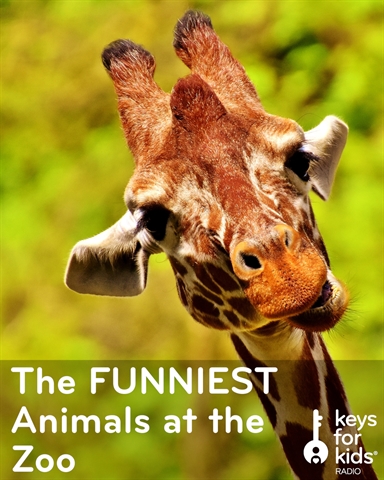 The FUNNIEST Animals Meet the FUNNIEST Kids at the Zoo