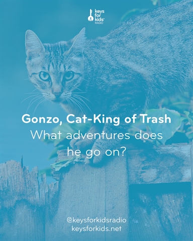 Gonzo the Cat: King of Trash!