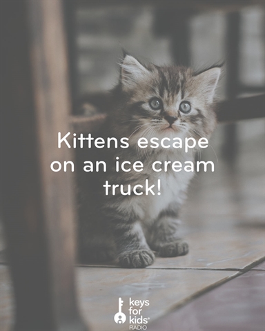 Kittens Escape in an Ice Cream Truck!