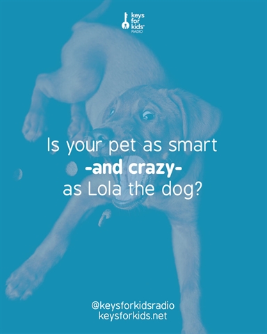 Lola the Dog: Genius Comedian?