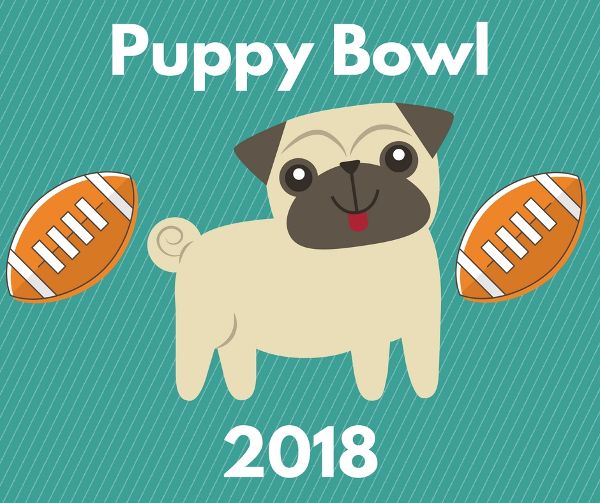 Get Ready for Puppy Bowl 2018