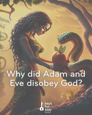 Why did Eve disobey? Question about the Bible