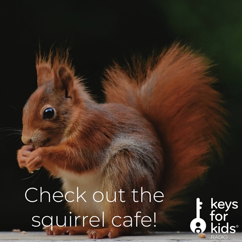 Tiny Little Restaurant for Squirrels!