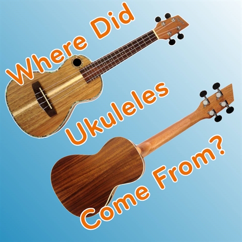 Where Did Ukuleles Come From?