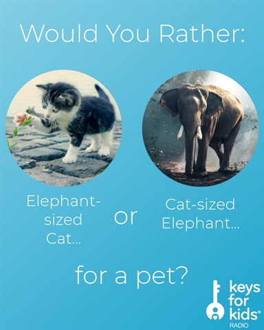 Would You Rather: Huge Cat or Tiny Elephant?