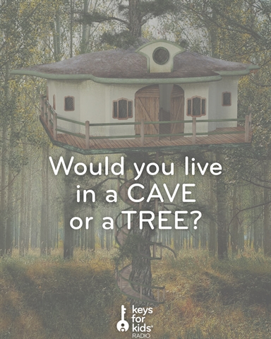 BEST House: Cave or TREE?