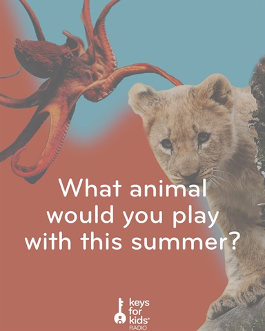 Best Animal for Summer Fun!