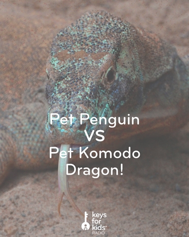 Pet Penguin vs Komodo DRAGON!