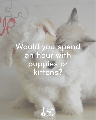 Spend an Hour with Puppies, or Kittens?